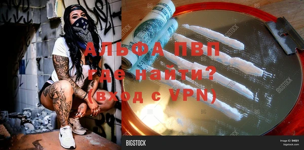 ПСИЛОЦИБИНОВЫЕ ГРИБЫ Няндома