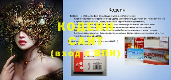 шишки Балашиха
