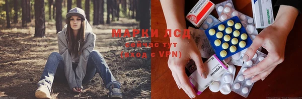 гидропоника Вязьма